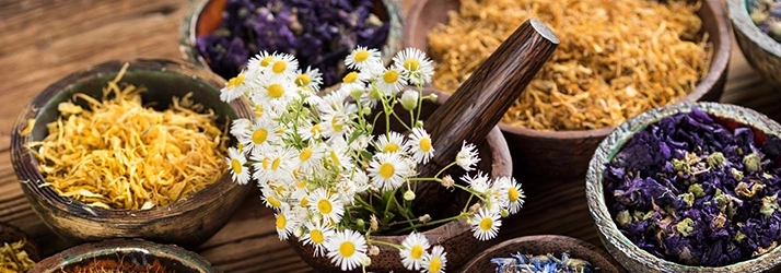Acupuncture Flower Mound TX Nutrition Dried Herbs 1 Dried herbs in bowls.
