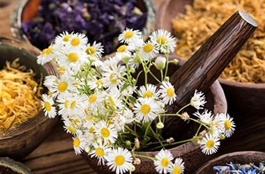 Acupuncture Flower Mound TX Nutrition Dried Herbs HP Dried Chinese herbs in bowls.